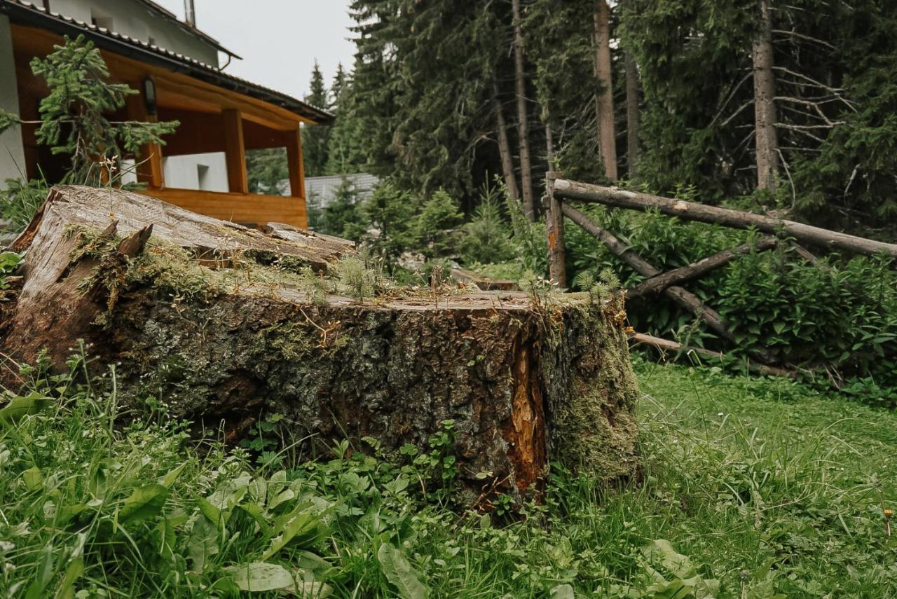 Mounthoff Retreat Βίλα Moroeni Εξωτερικό φωτογραφία