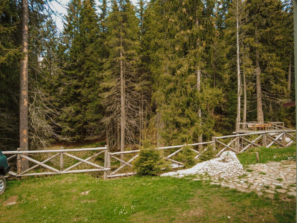 Mounthoff Retreat Βίλα Moroeni Εξωτερικό φωτογραφία