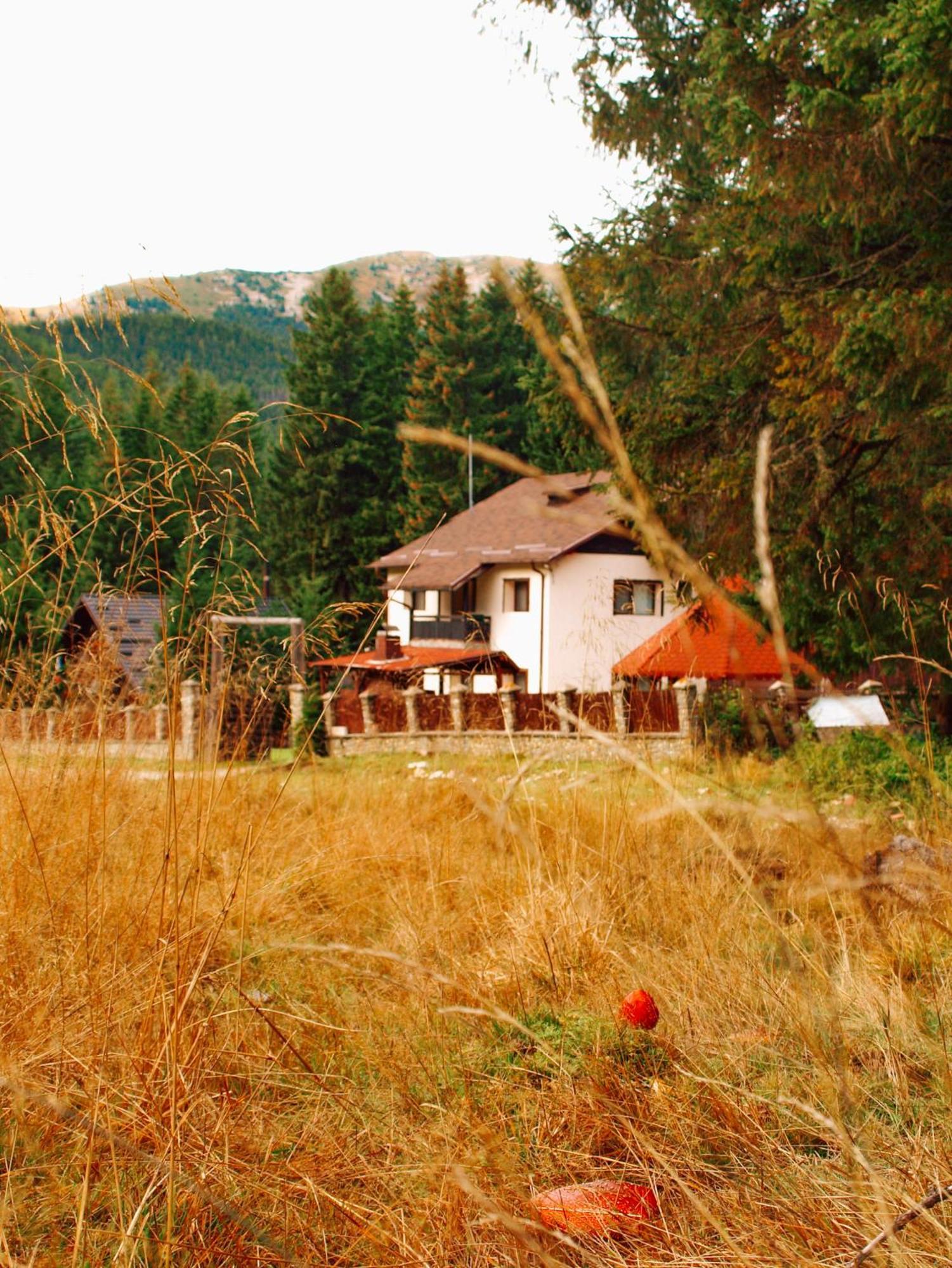 Mounthoff Retreat Βίλα Moroeni Εξωτερικό φωτογραφία